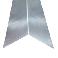 ZN-Winkelblech glatt 250x0,7 mm 2 m